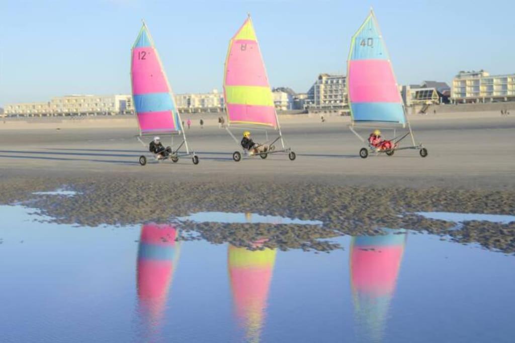 Cozy D'Opale Charmant T1 Bord De Mer Cour Privee Et Clot Wifi 3 Pers Animaux Acceptes Gratuit Apartment Berck ภายนอก รูปภาพ